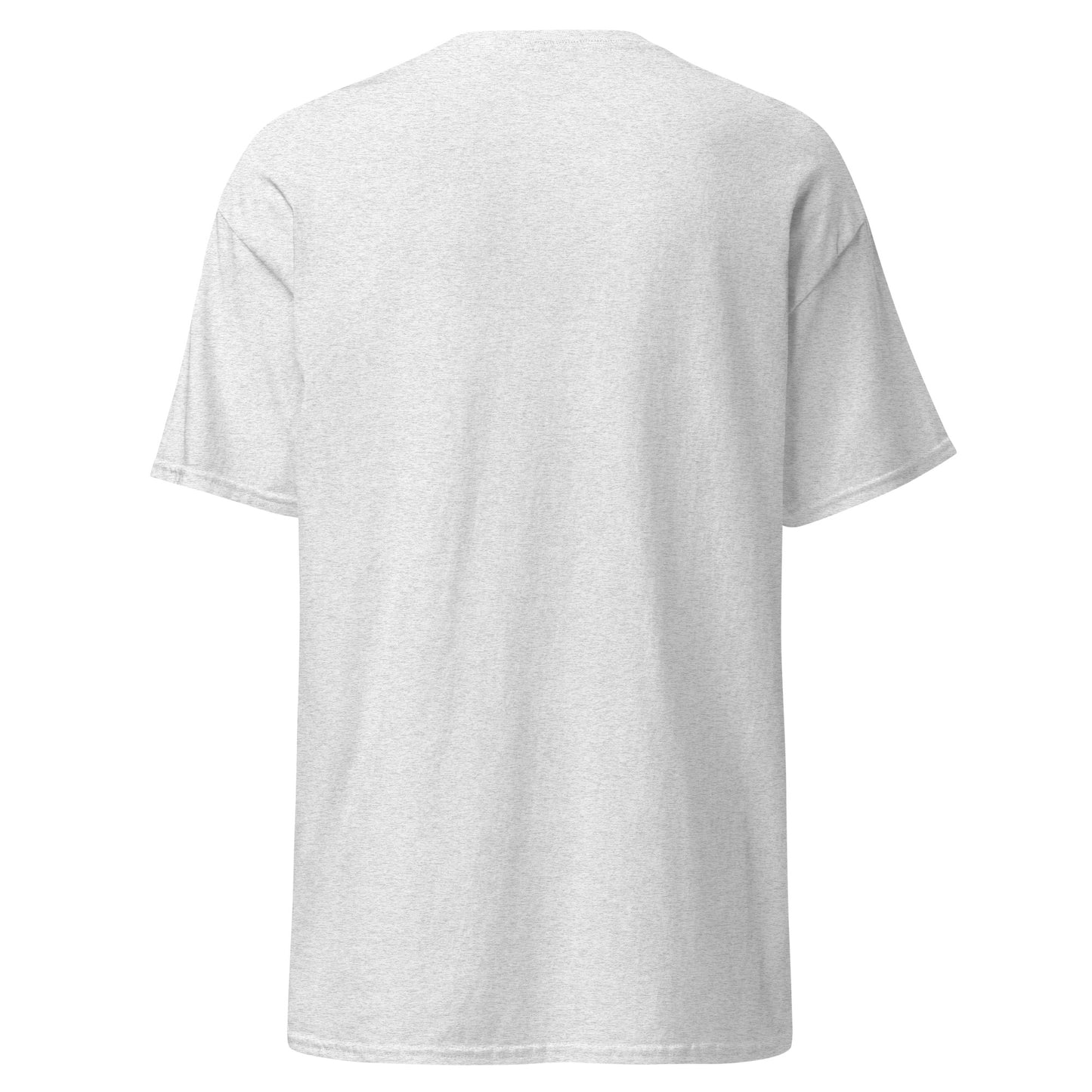 Treasure Island Florida Unisex classic tee