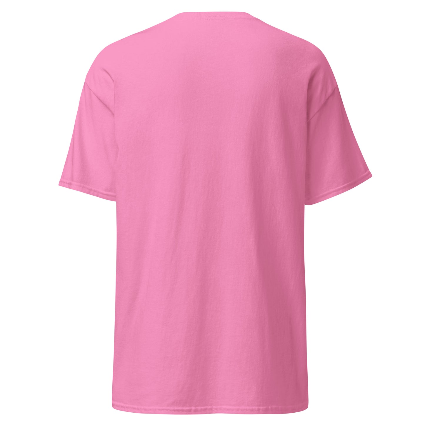 Treasure Island Florida Unisex classic tee