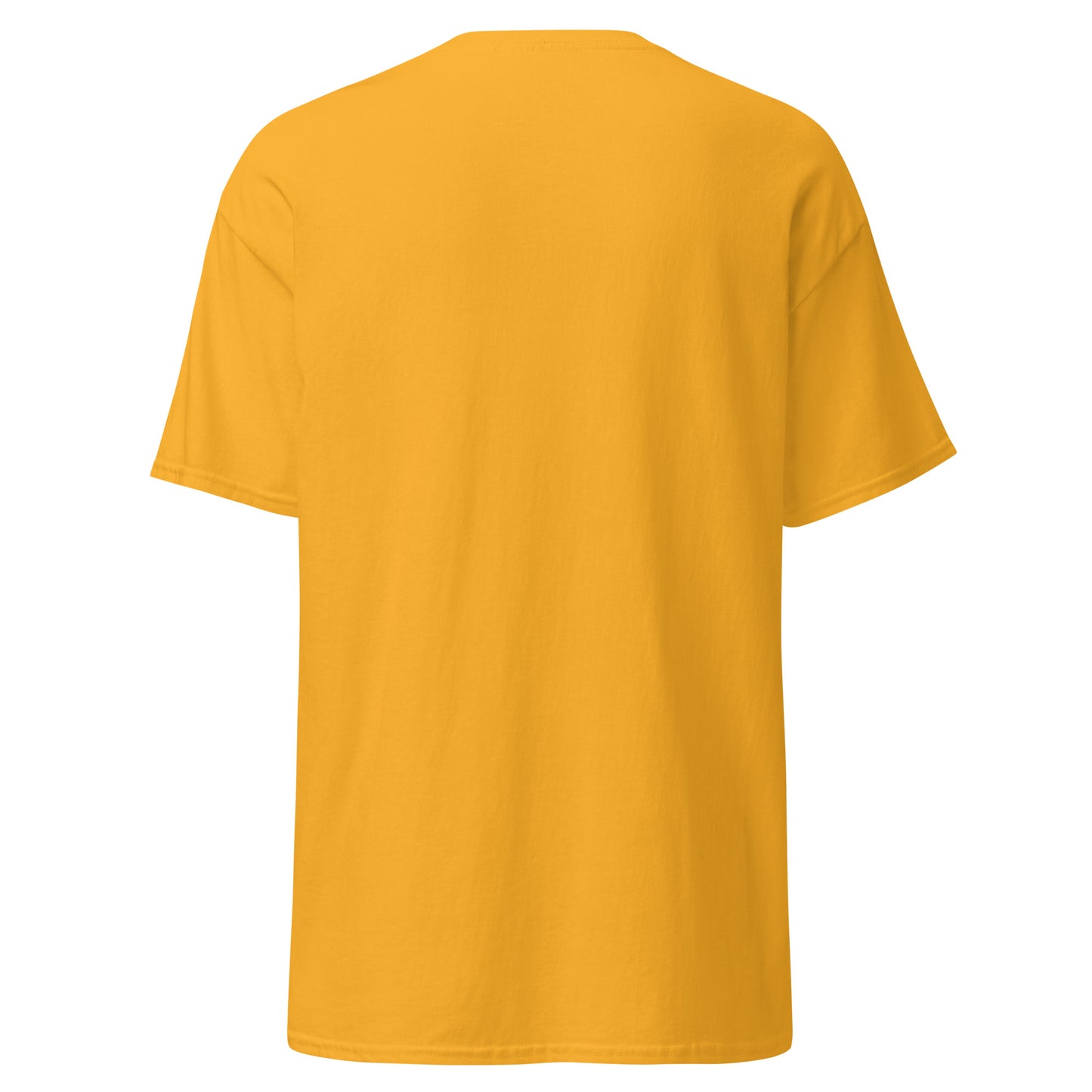Treasure Island Florida Unisex classic tee