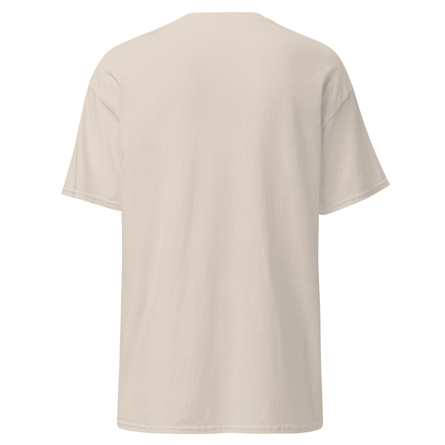 Treasure Island Florida Unisex classic tee