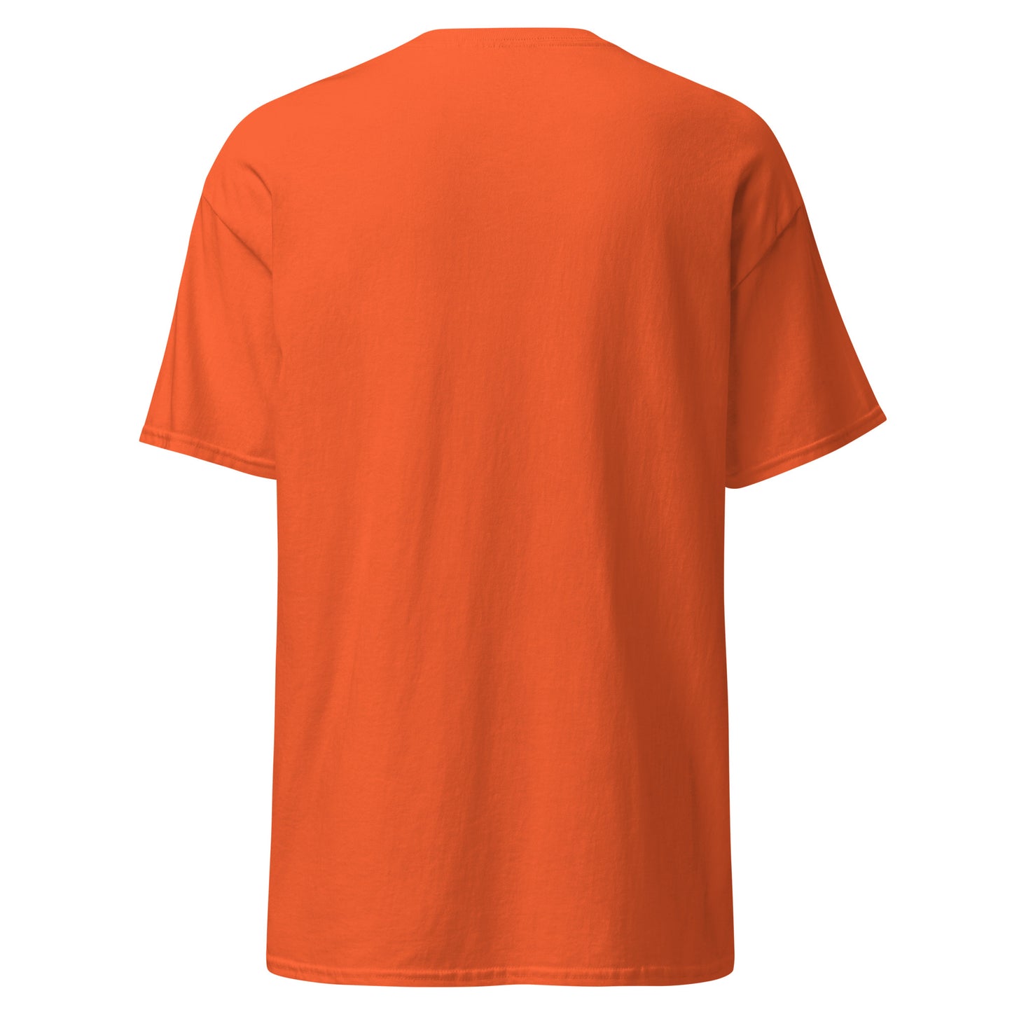 Treasure Island Florida Unisex classic tee