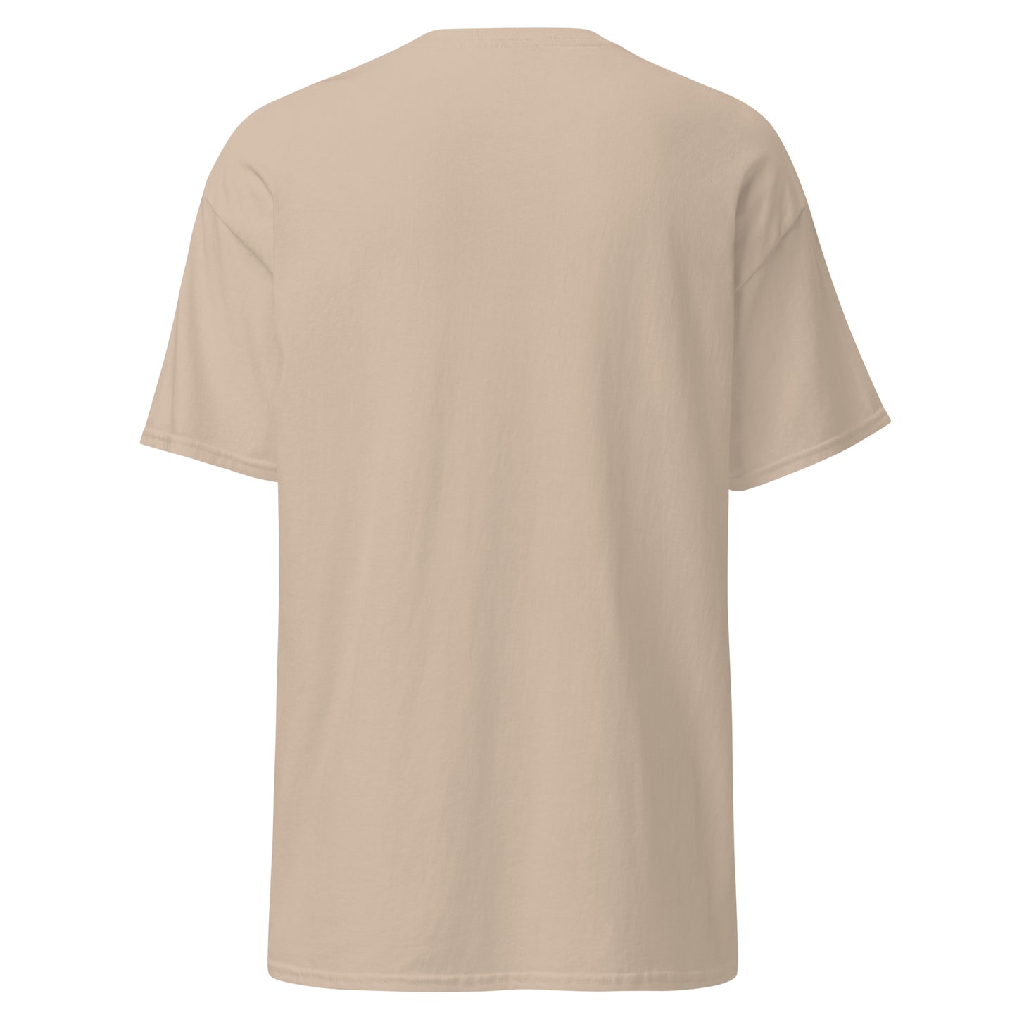 Treasure Island Florida Unisex classic tee