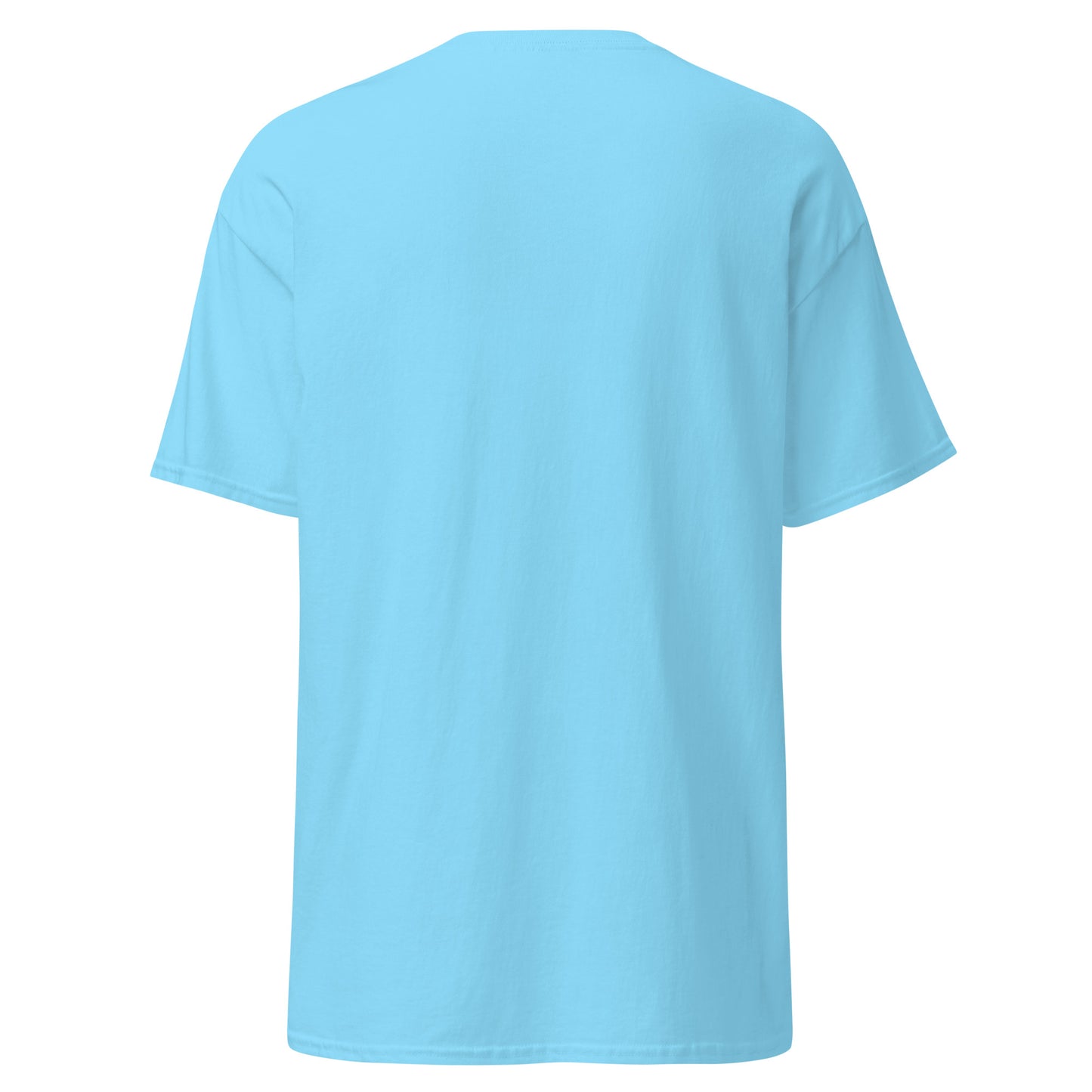 Treasure Island Florida Unisex classic tee