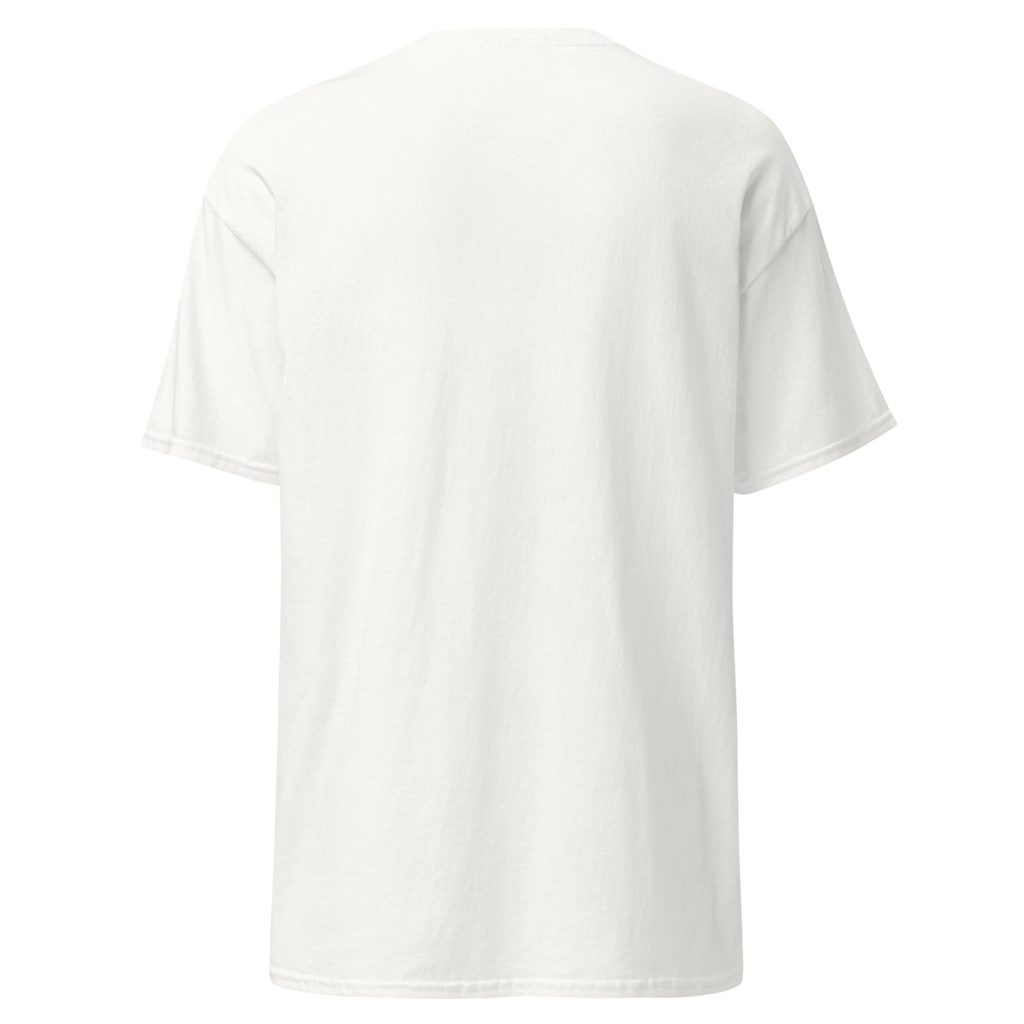 Treasure Island Florida Unisex classic tee