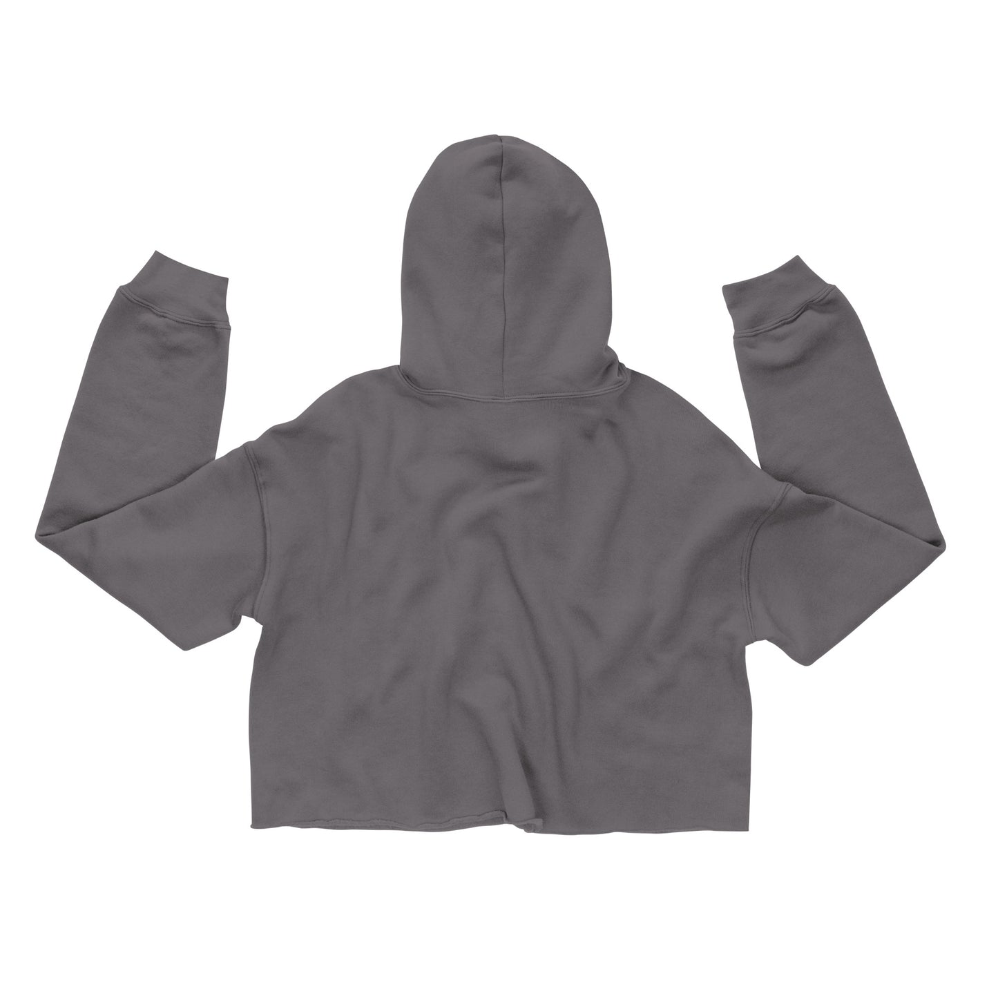 Ohio State Cropped Hoodie