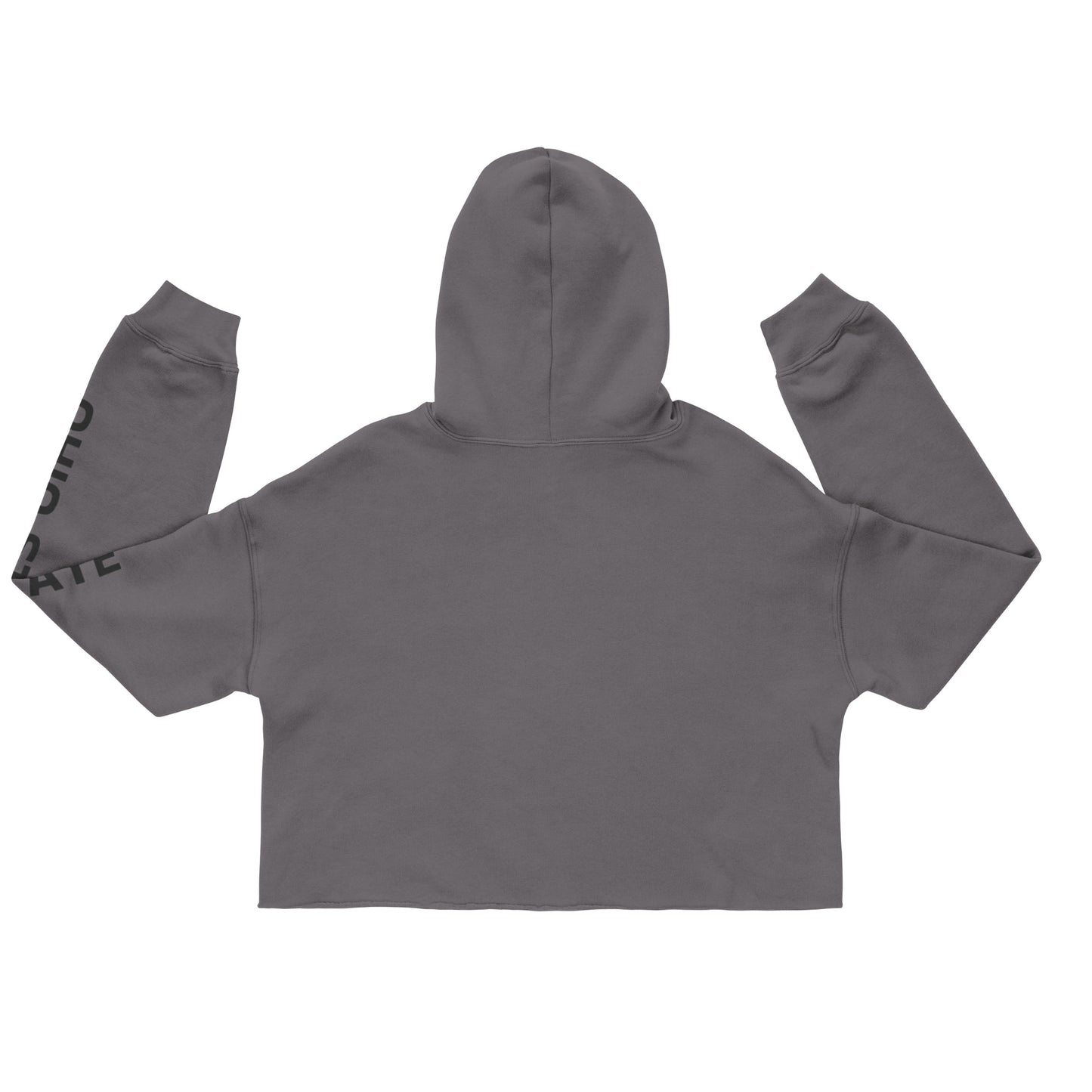 Ohio State Cropped Hoodie