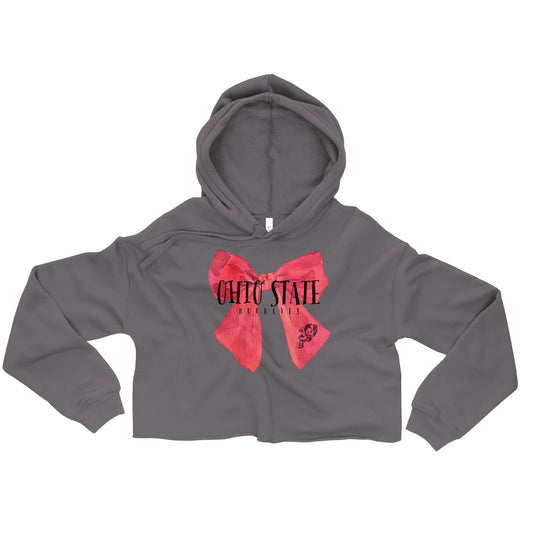 Ohio State Cropped Hoodie